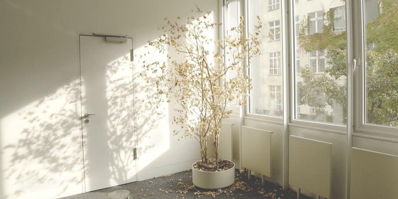 Síndrome do ninho vazio: como pais e filhos podem diminuir o sofrimento