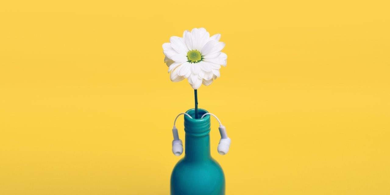 Resiliência – as lições que vão ajudar você a dar a volta por cima